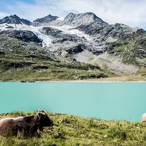 Frühstückspension Meublè Stelvio